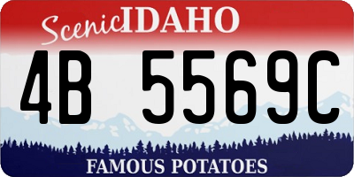 ID license plate 4B5569C