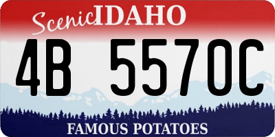 ID license plate 4B5570C