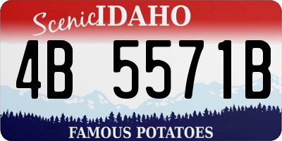 ID license plate 4B5571B