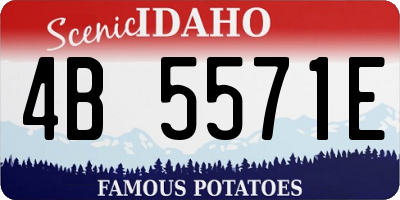 ID license plate 4B5571E