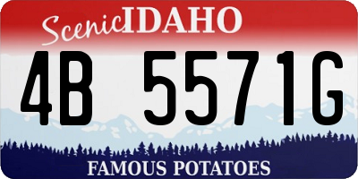 ID license plate 4B5571G