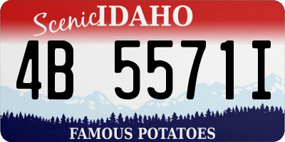 ID license plate 4B5571I