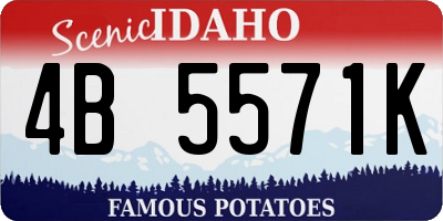 ID license plate 4B5571K