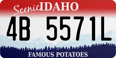 ID license plate 4B5571L
