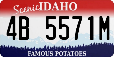 ID license plate 4B5571M