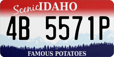 ID license plate 4B5571P