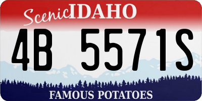 ID license plate 4B5571S