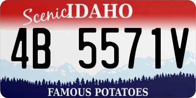 ID license plate 4B5571V