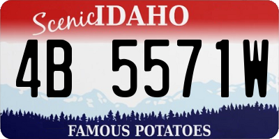 ID license plate 4B5571W