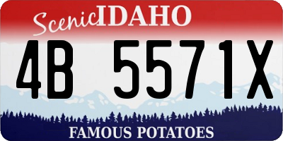 ID license plate 4B5571X