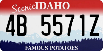 ID license plate 4B5571Z