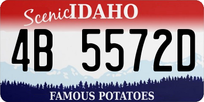 ID license plate 4B5572D
