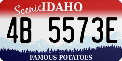 ID license plate 4B5573E