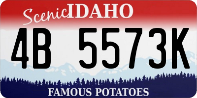 ID license plate 4B5573K