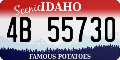ID license plate 4B5573O