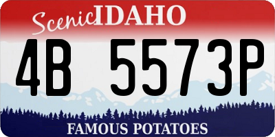 ID license plate 4B5573P