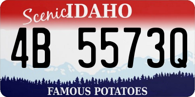 ID license plate 4B5573Q