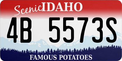 ID license plate 4B5573S