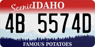 ID license plate 4B5574D