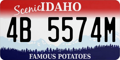 ID license plate 4B5574M