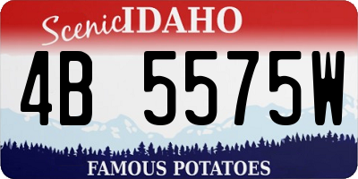 ID license plate 4B5575W