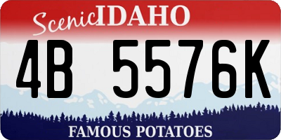ID license plate 4B5576K