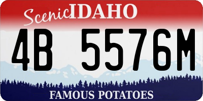 ID license plate 4B5576M