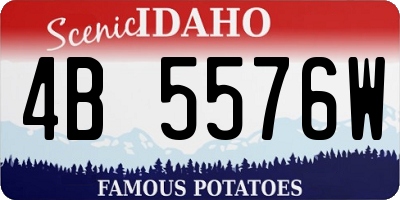ID license plate 4B5576W