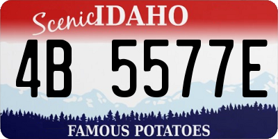 ID license plate 4B5577E