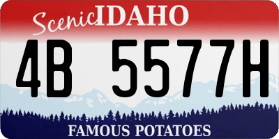 ID license plate 4B5577H
