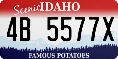 ID license plate 4B5577X