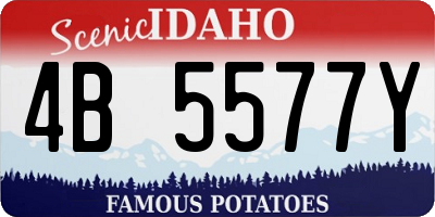 ID license plate 4B5577Y