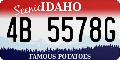 ID license plate 4B5578G