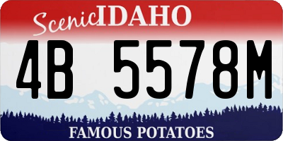 ID license plate 4B5578M