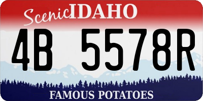 ID license plate 4B5578R