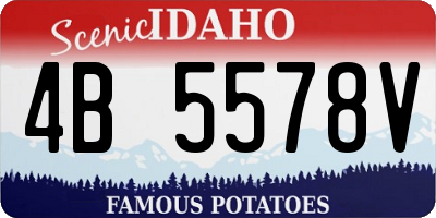 ID license plate 4B5578V