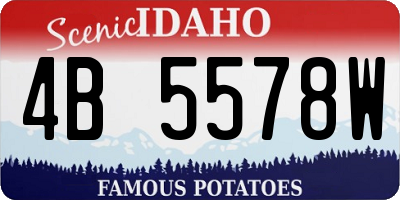 ID license plate 4B5578W