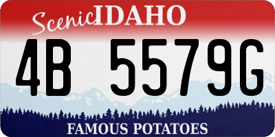 ID license plate 4B5579G