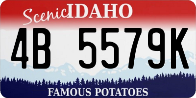 ID license plate 4B5579K