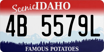 ID license plate 4B5579L