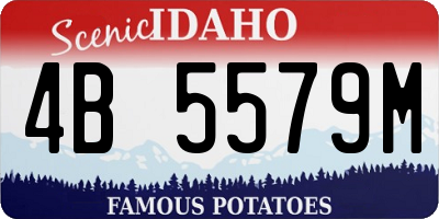 ID license plate 4B5579M