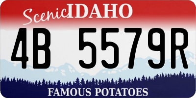 ID license plate 4B5579R