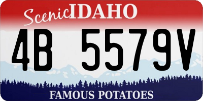 ID license plate 4B5579V