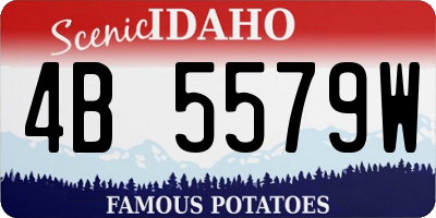 ID license plate 4B5579W
