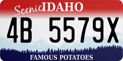 ID license plate 4B5579X