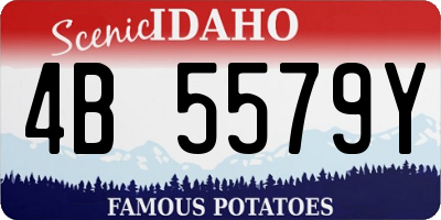 ID license plate 4B5579Y