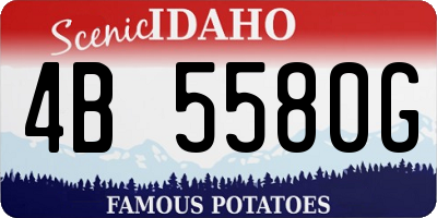 ID license plate 4B5580G