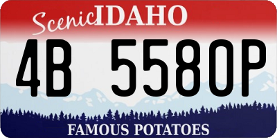 ID license plate 4B5580P