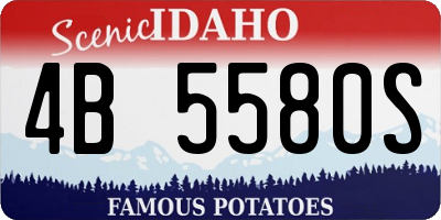 ID license plate 4B5580S
