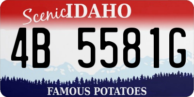 ID license plate 4B5581G